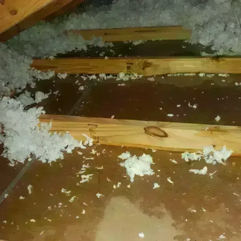 Attic Water Damage in Borger, TX