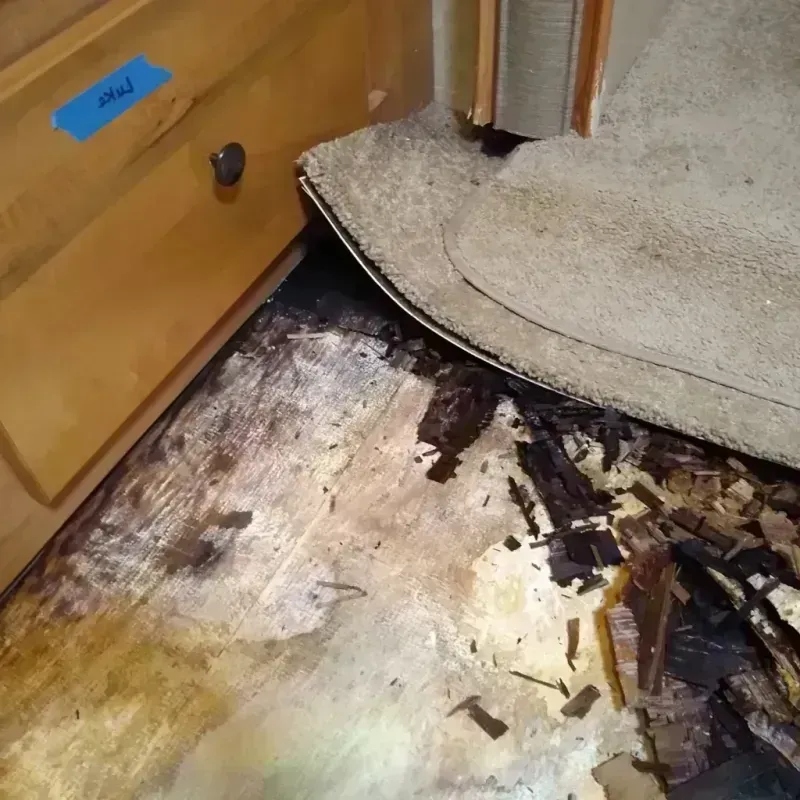 Wood Floor Water Damage in Borger, TX